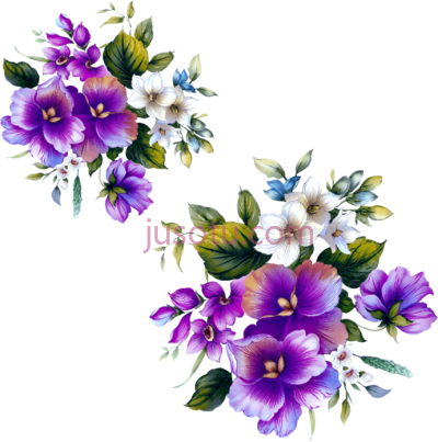 紫色花,floral flower purple PNG