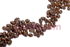 咖啡豆PNG