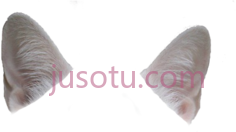猫耳PNG