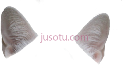 猫耳,cat ear PNG