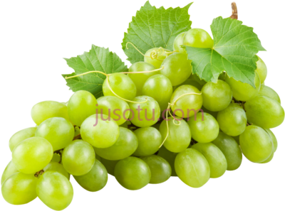绿葡萄,green grapes PNG