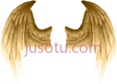 天使之翼黄金翅膀PNG