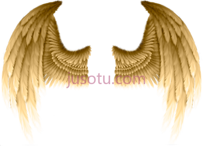 天使之翼黄金翅膀,dt angelwings wings gold PNG