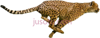豹子,running cheetah PNG