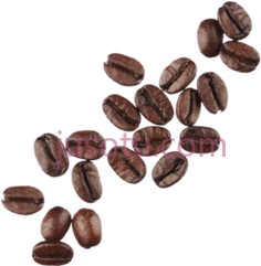 咖啡豆PNG