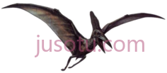翼龙PNG