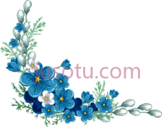 蓝色花边PNG