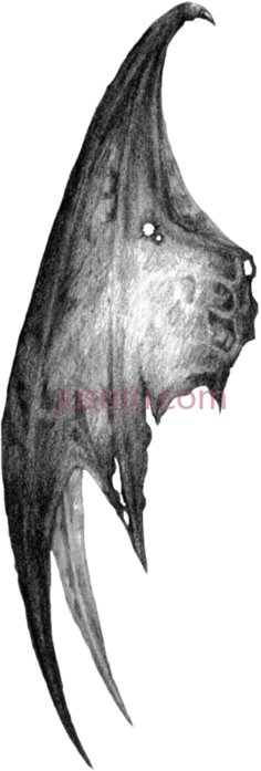蝙蝠翅膀,demon wings PNG