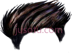 发型, PNG
