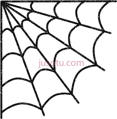 蜘蛛网,spider web PNG