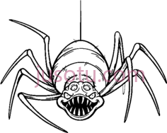 爬行蜘蛛PNG