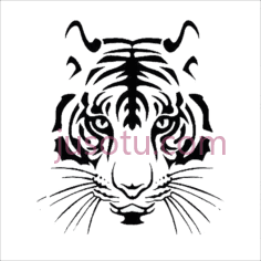 老虎,卡通,动画 PNG