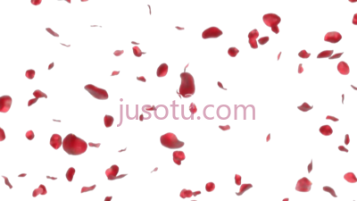 红玫瑰花瓣,red roses wedding ideas petals PNG