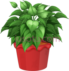 花盆,flower in pot PNG