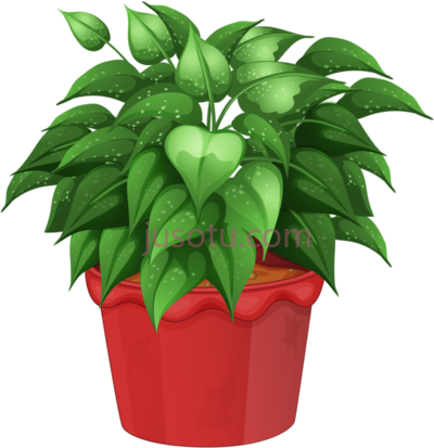 花盆,pots potted flowers PNG