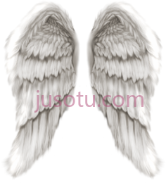 天使翅膀PNG