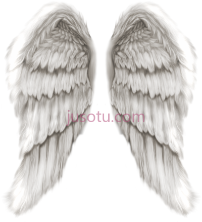 天使翅膀,realistic angel wings PNG