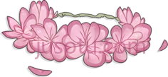 花冠, PNG