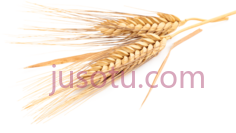 小麦,粮食 PNG