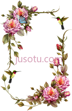 藤蔓花边,花架 PNG