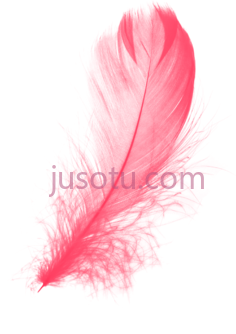 粉红羽毛PNG
