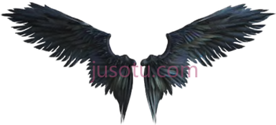 乌鸦翅膀,raven crow wings PNG