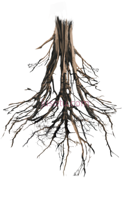 树根,floating island tree roots peaches peach PNG