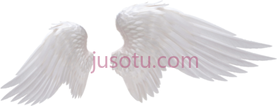 白色天使翅膀,white angel wings PNG