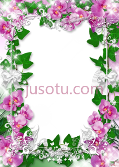 兰花框PNG