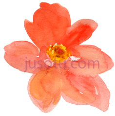 水彩橙花,orange flower PNG