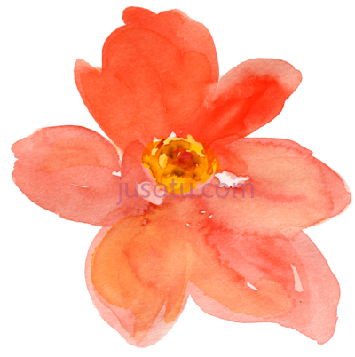 水彩橙花,fall watercolor floral art so pretty PNG