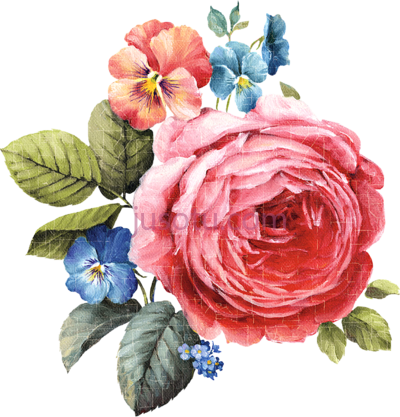 花卉,flowers painting PNG