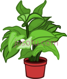 花盆植物PNG