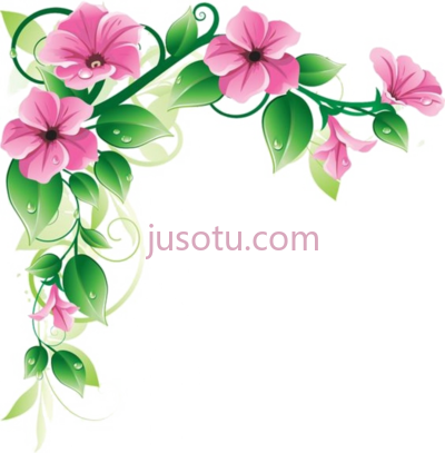 花边框,flower frame pic PNG