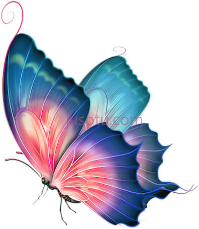 蝴蝶,angel wings butterfly pretty boss PNG