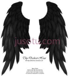 黑色天使翅膀PNG