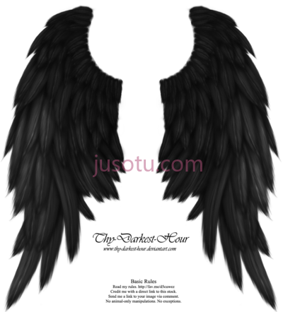 黑色天使翅膀,real angel win wings PNG