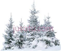 雪树木森林PNG