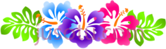 夏威夷花PNG