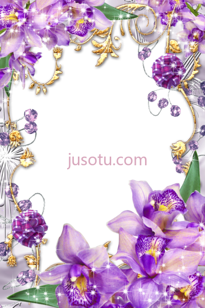 紫色花,purple flower borders and frames PNG