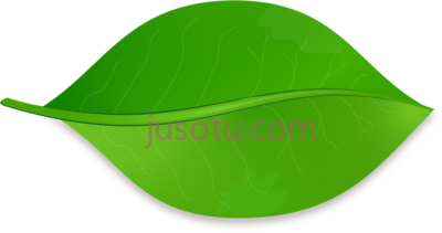 一片树叶,una hoja de arbol PNG