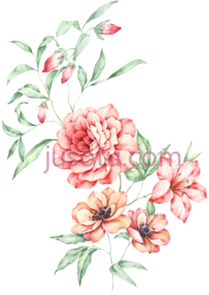 水彩花卉,花束 PNG