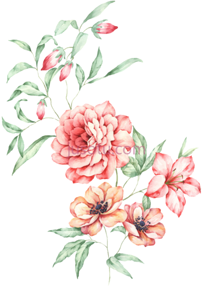 水彩花卉,this watercolor floral decorative PNG