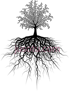 树根PNG