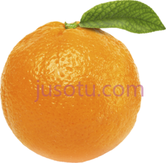 橙子PNG