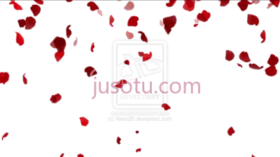 玫瑰花瓣飘落,resolution animated rose petals falling PNG