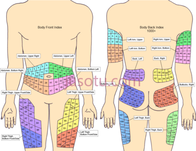 人体部位,injection sites index insulin rotation chart PNG