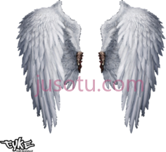 白色天使翅膀PNG