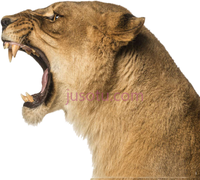 狮子吼,lion roar PNG