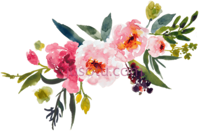 水彩花,watercolor flower PNG